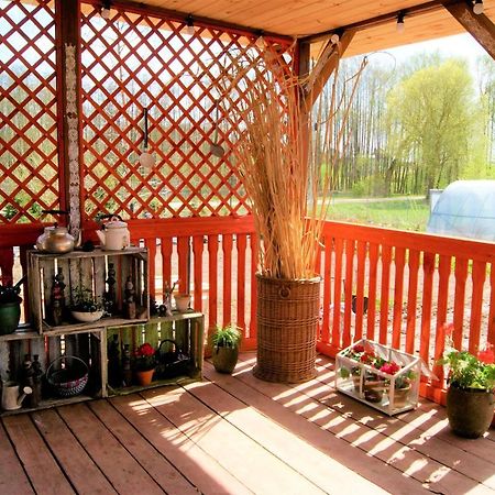 Losiowate Gospodarstwo Agroturystyczne Rybaki  Экстерьер фото