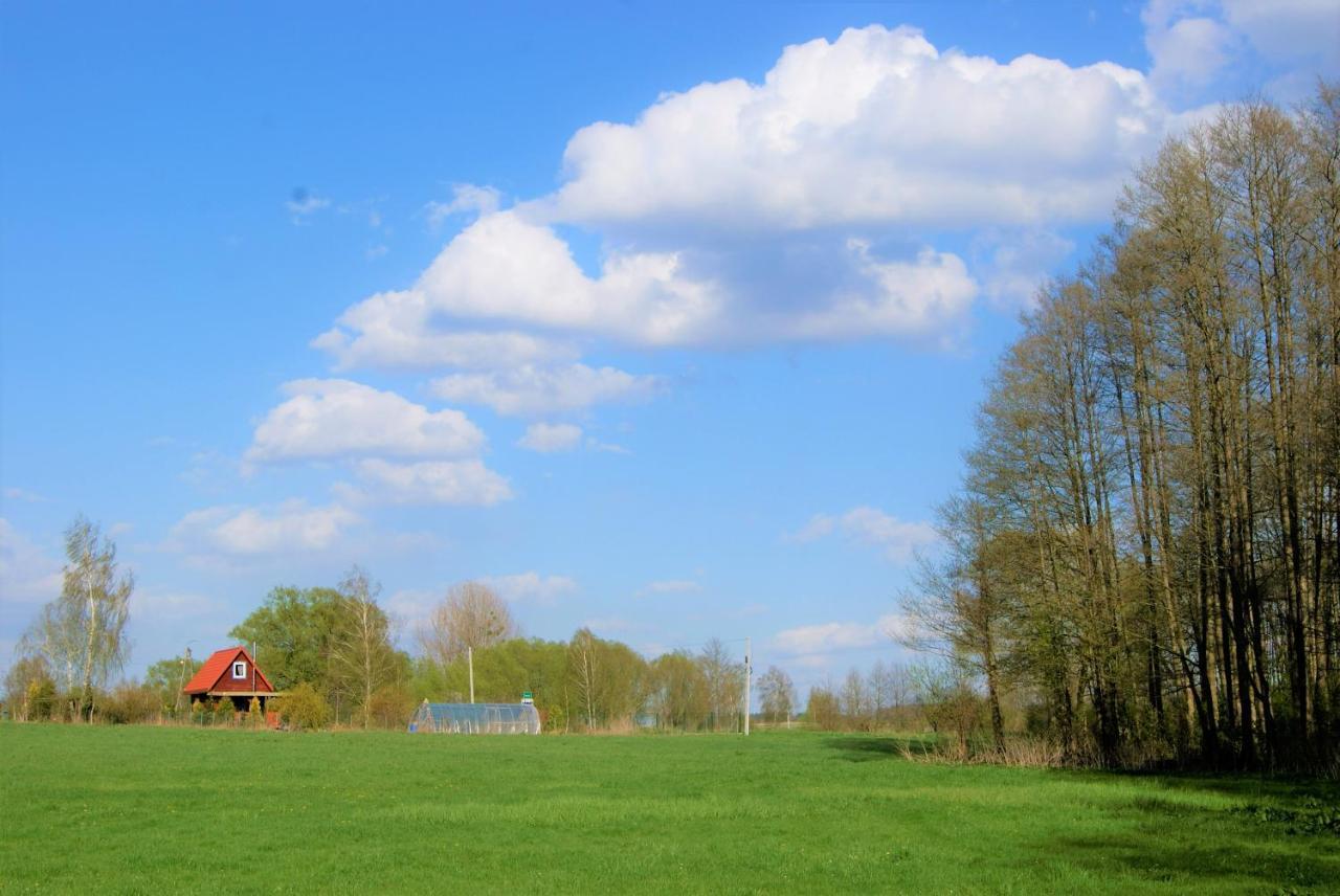 Losiowate Gospodarstwo Agroturystyczne Rybaki  Экстерьер фото